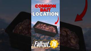 Where To Get COMMON BAIT In Fallout 76
Where To Get COMMON BAIT In Fallout 76
Follow Bethesda on Twitter:
https://twitter.com/bethesda
Get Fallout 76 on PC here:
https://store.steampowered.com/app/1151340/Fallout_76/
#fallout76 Where To Get COMMON BAIT In Fallout 76