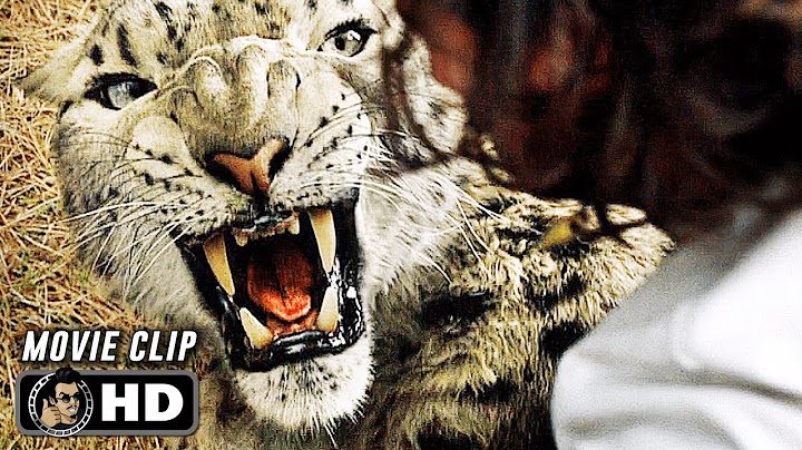 Leopard Attack Scene | KRAVEN THE HUNTER (2024) Movie CLIP HD