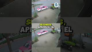 🐾 A man was caught stealing a dog bed in Mexico City. #news #police #viral #cdmx