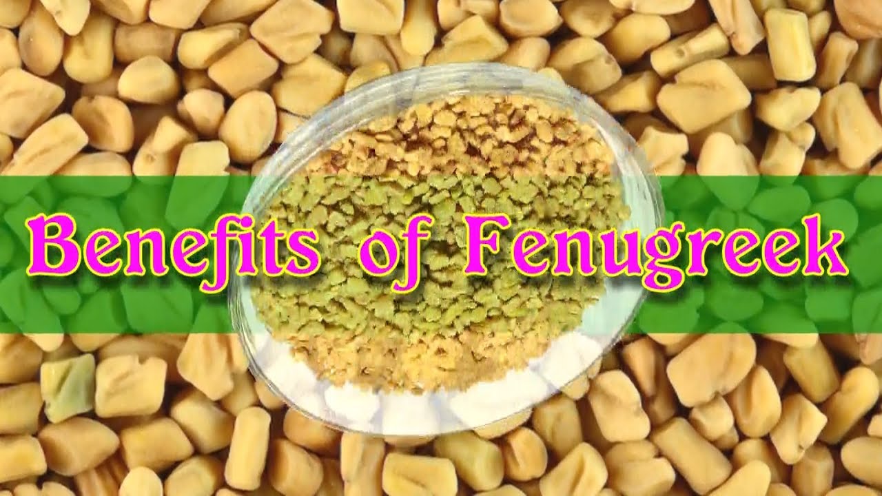 Fenugreek Benefit Men’s Testosterone & Women’s Breast YouTube