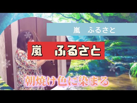 嵐　ふるさと　バイオリン演奏　歌詞付き