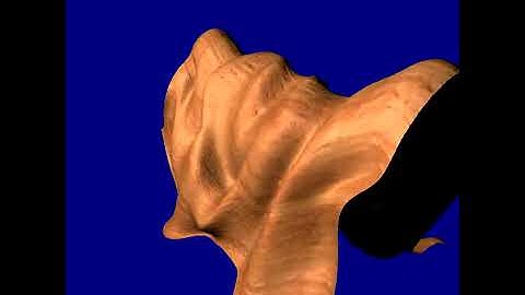 Real-time measured BRDF using wavelets compression