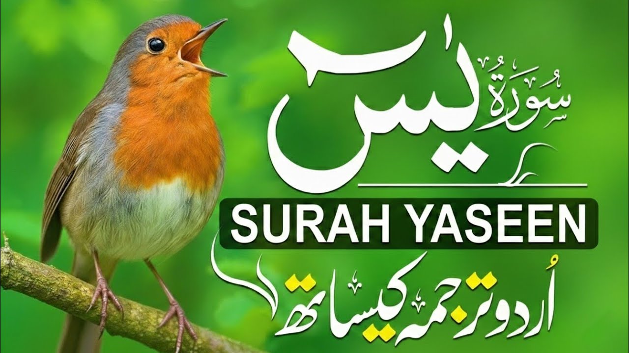 Surah Yasin (Yaseen) with Urdu and Hindi translation | Heart Of The Quran | Qari Mansoor Ghaznavi