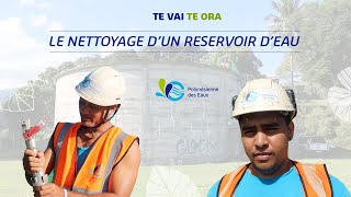 💧 TE VAI, TE ORA #5 : &agrave; la d&eacute;couverte de nos m&eacute;tiers 💧