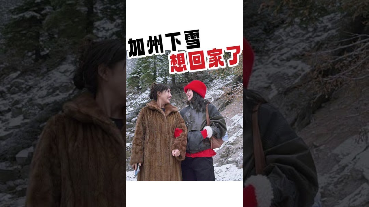 一定要找一个不厌其烦举起手机记录你的人#海外生活 #夫妻 #下雪