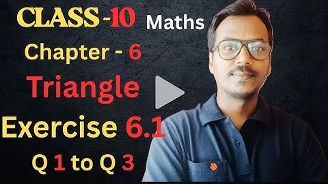 Class 10 Maths Chapter 6 Triangles | Exercise 6.1 | Easy Explanation | 100 Classes by RK