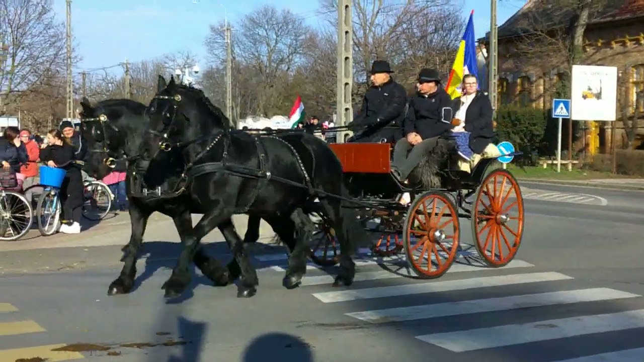 Lovas bandérium Hódmezővásárhely 2025