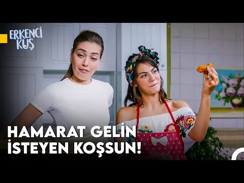 Sanem'in Aşkı Bulma Yolculuğu #38 - Erkenci Kuş