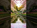 Golden Hour of Spring🌿The Most Peaceful Blossom Garden Ambience in 4K #peacefulmoments #stressrelief