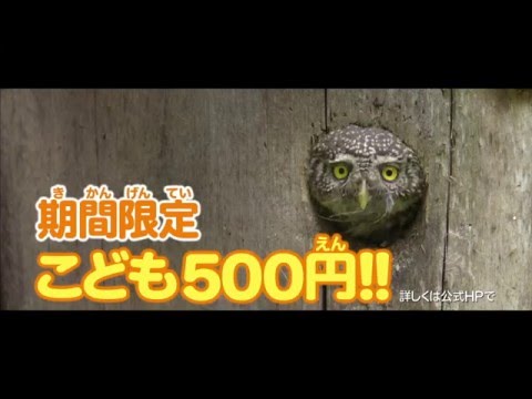 映画『シーズンズ　2万年の地球旅行』30秒テレビCM