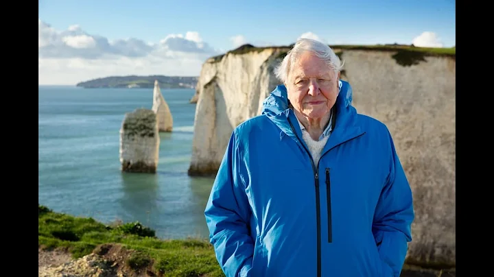 Sir David Attenborough's Near-Drowning Dive Horror: What Saved His Life?