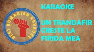 Miniatura de vídeo de "KARAOKE: Un trandafir Creste la Firida mea Versuri Negativ"