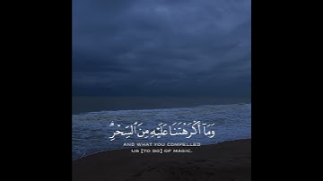 قران حالات واتس | للقارئ شريف مصطفى | حالات واتس اب دينيه♥♥.