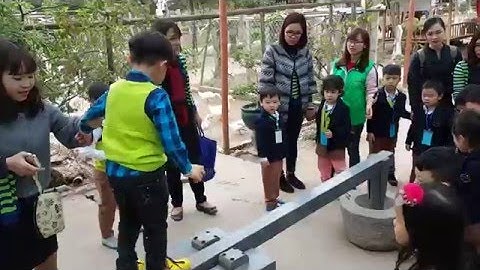 [Dã ngoại] Cối giã gạo & Cối xây gạo