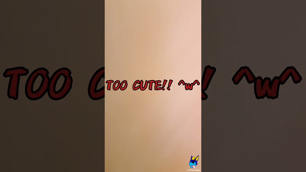 When the Cute Plush Bunny Spots the Cameraman #ScotiaCon #Furries #Fursuits  #fyp #shorts - YouTube