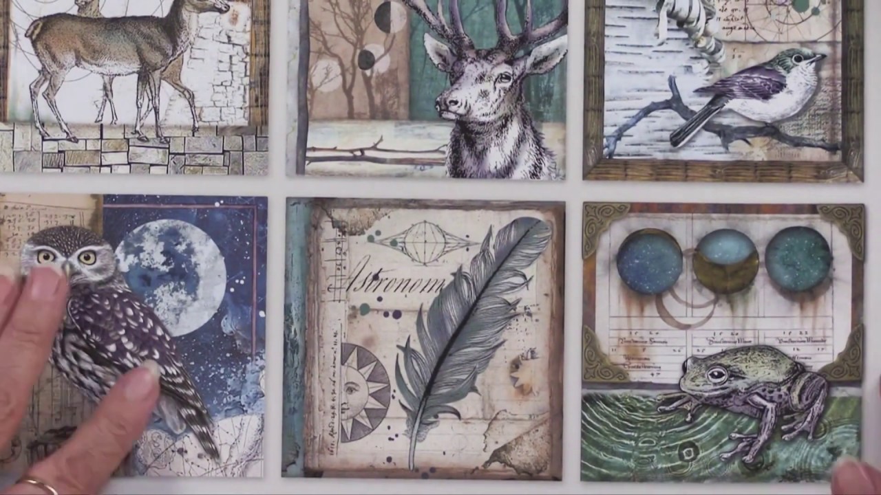 Cosmos Paper Pack / Mixed Textured Blossoms x 4 - Teal instructional coach