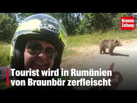 Tourist wird in Rumänien von Bär zerfleischt | krone.tv NEWS