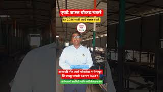 खूप कमी पैशांमध्ये बोकड विकत घेण्याची संधी #viral #eid #goat #low budget goat #shorts #short #reels