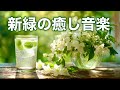 【新緑の癒しBGM】心がふっと落ち着くカフェタイム|やさしいピアノとギターで癒されるリラックス音楽