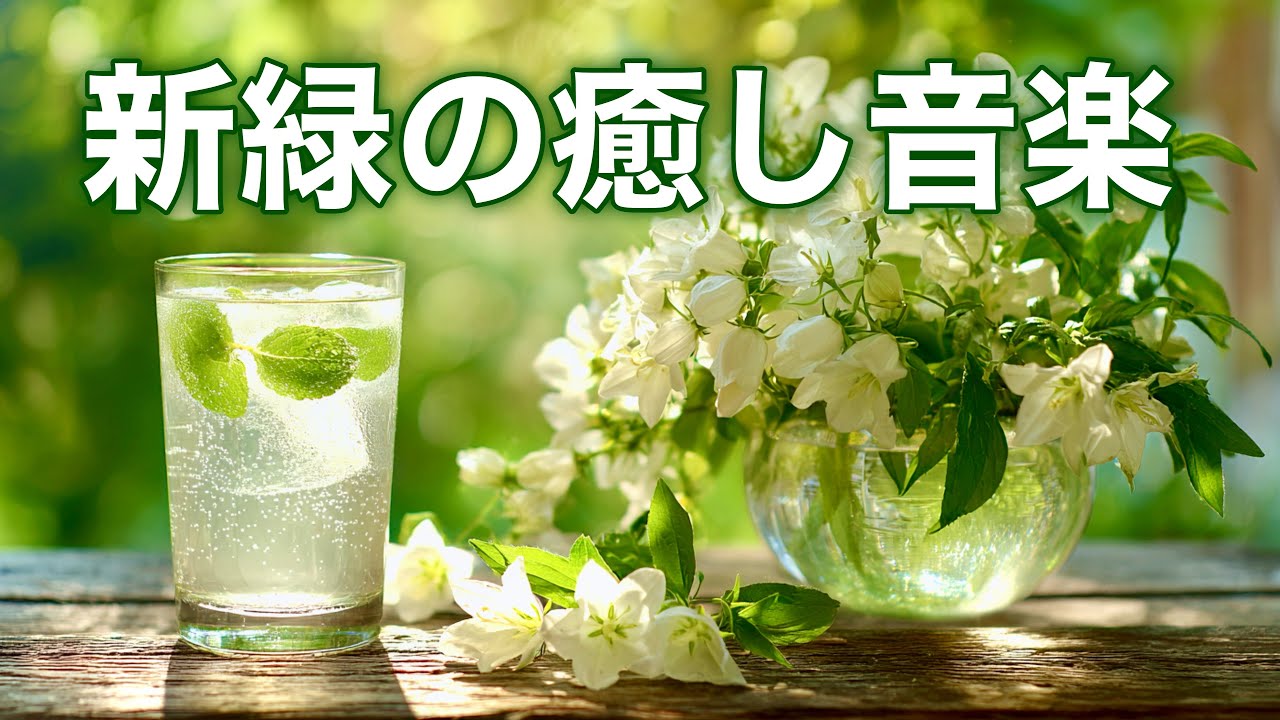 【新緑の癒しBGM】心がふっと落ち着くカフェタイム|やさしいピアノとギターで癒されるリラックス音楽