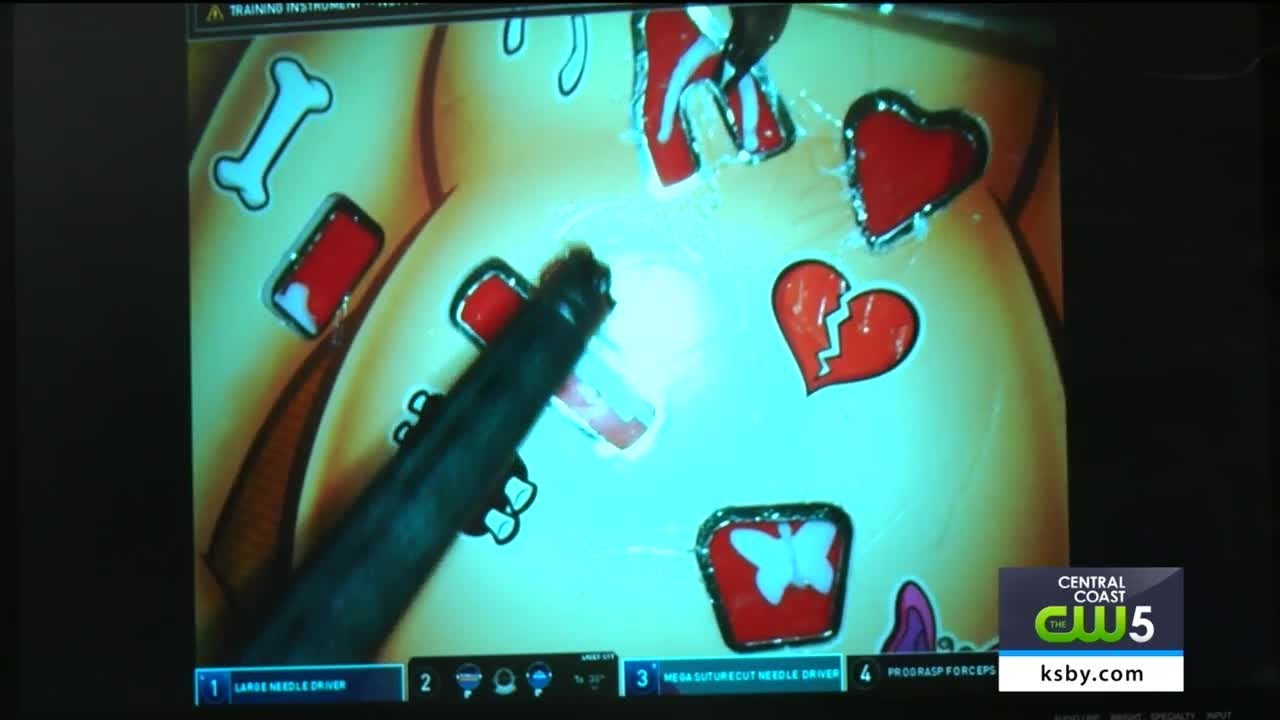 Students become surgeon for a day at French Hospital Medical Center