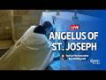 Angelus of St Joseph at the Crypt of the Church of St. Joseph | May 27, 2026