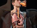 🍊 What Happens When You Drink Orange Juice? | 3D Medical Animation