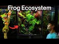 I made a jungle terrarium for a tiny frog heres how