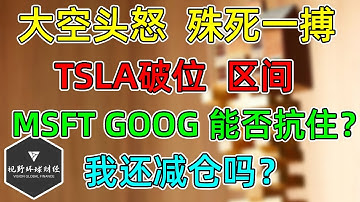 美股 TSLA破位！关注MSFT和GOOG，能否抗住？我还减仓吗？大空头Michael Burry取消激进SEC注册，殊死一搏！
