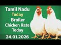 தமிழ்நாடு இன்று பிராய்லர் கோழி விலை | Broiler Chicken Rate Today | 24.1.2026 | Chicken update