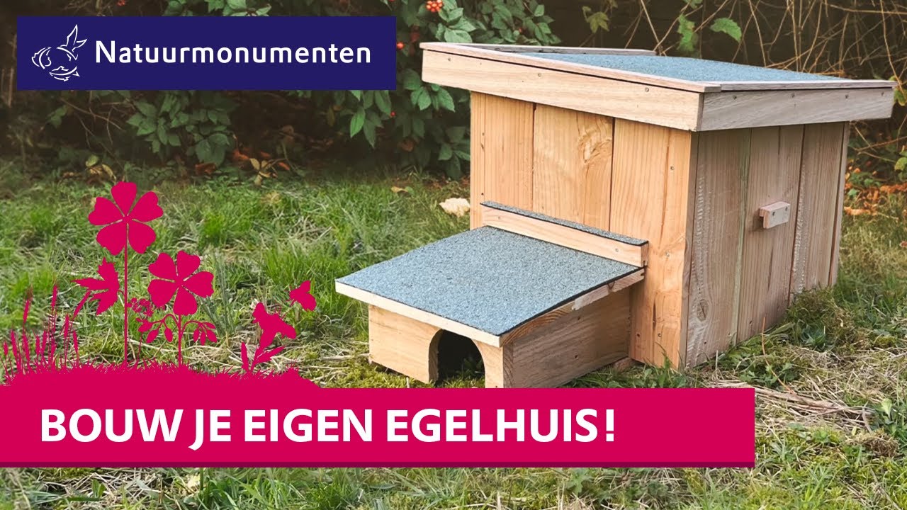 Red de egel | Bouw je eigen DIY egelhuis! - YouTube