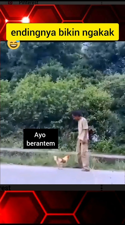 video lucu || orang gila di kejar ayam #funny