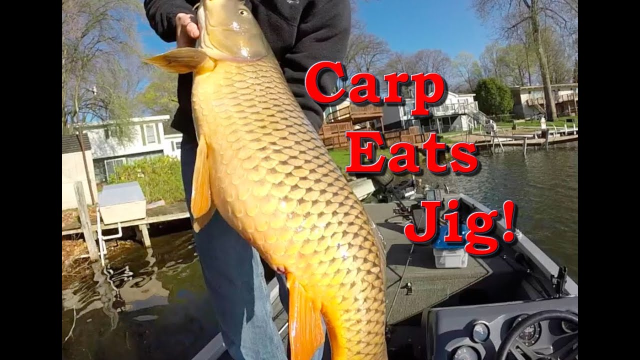 Massive Carp Caught Bass Fishing YouTube