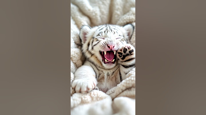 Slowly wakes up in a cozy bed, stretches lazily, yawns cutely
