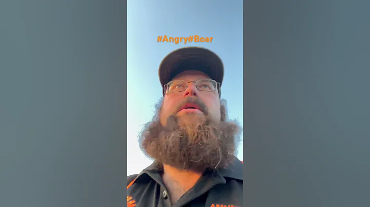 #Angry #Boar #Charges #hog