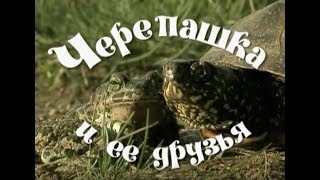 Черепашка и ее друзья. Фильм для детей и взрослых Черепашка и ее друзья. Фильм для детей и взрослых