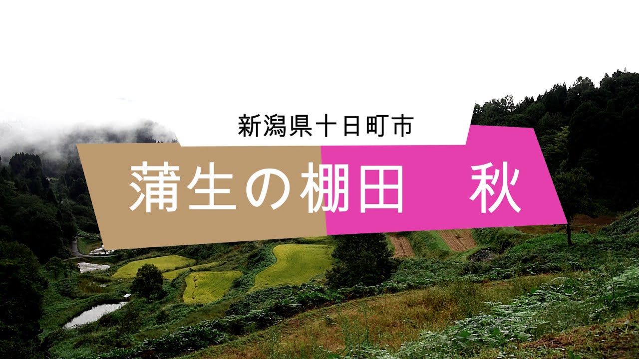 蒲生の棚田 18年9月30日 Youtube