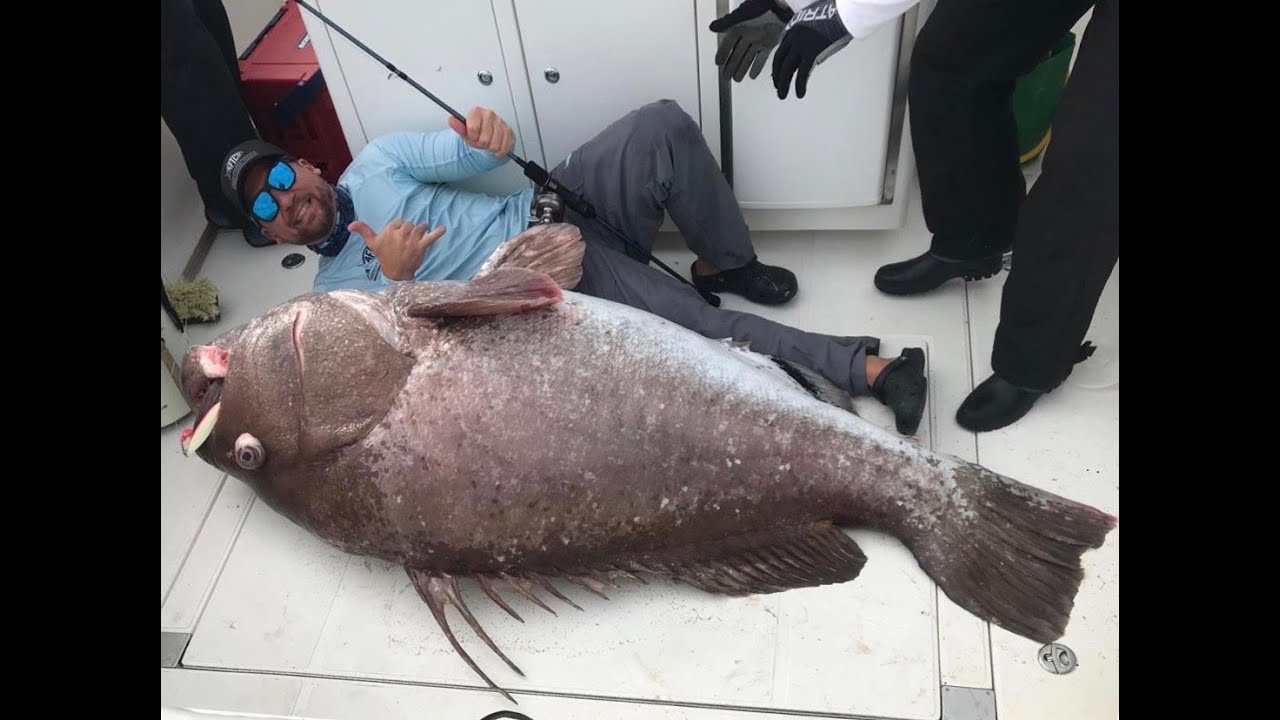 Technical Slow Pitch Jigging for Gag Grouper - JYG PROFISHING 