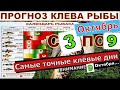 Прогноз клева рыбы на Эту неделю с 3 по 9 Октября. Лунный Календарь рыбака на котябрь.