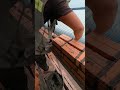 Home Bricks Works #Shorts #Viral #DIY #tutorial #techtec