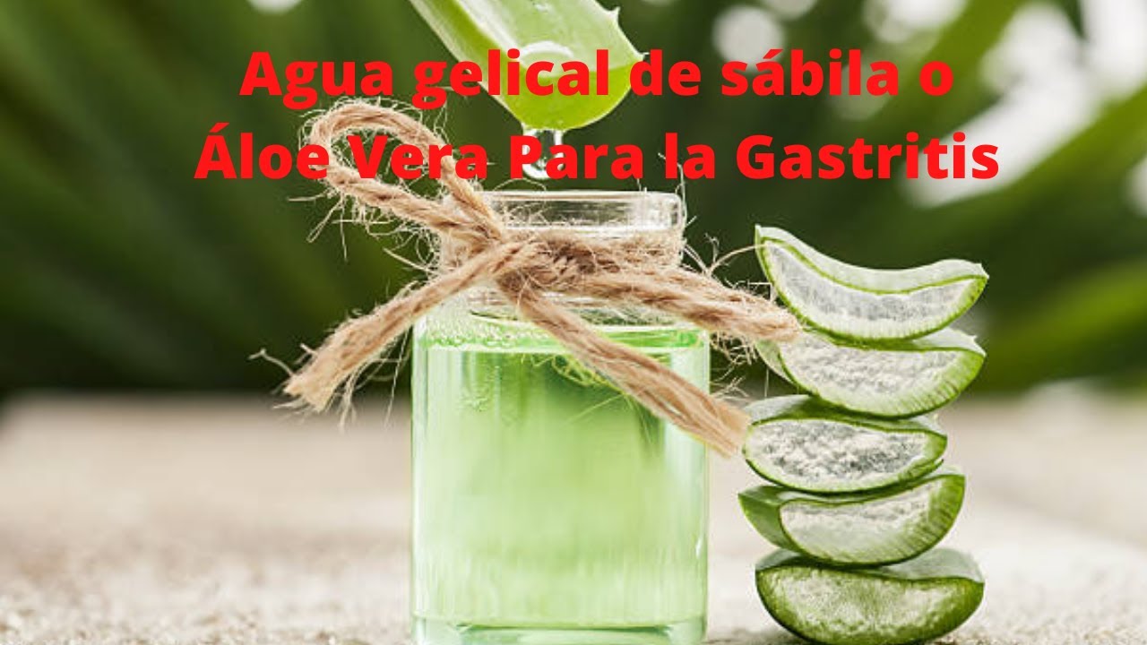 Beneficios del Agua Gelical de Sbila o loe Vera para la Gastritis,  Reflujo y acidez