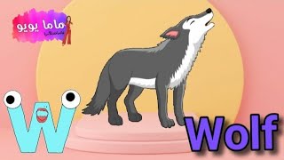 تعليم و كتابة حرف W, w| كلمات حرف W | تعلم الحروف الإنجليزية | Learn and write letter W | ماما يويو