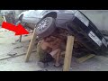 TOTAL IDIOTS AT WORK | Idiots in Cars #8