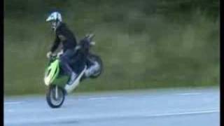 Moppe StUNts [Original] screenshot 3