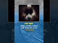 শেষ গন্তব্য 🥺🤲 #moonoframadan #banglastatus #islamicstatus