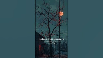 القارئ "محمد اللحيدان" #quran #اكسبلور #المصحف