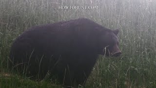 How Close To A Bear Can You Row Up On During Hunting Season? by HowToHunt 4,883 views 1 year ago 3 minutes, 27 seconds