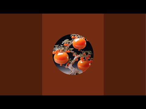 سلام عليكم ورحمة الله معي اليوم