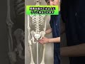 お尻の骨が当たって痛い人はこれ試してみて