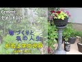 Flower pot made of cement.指先でデザインする手作りの植木鉢